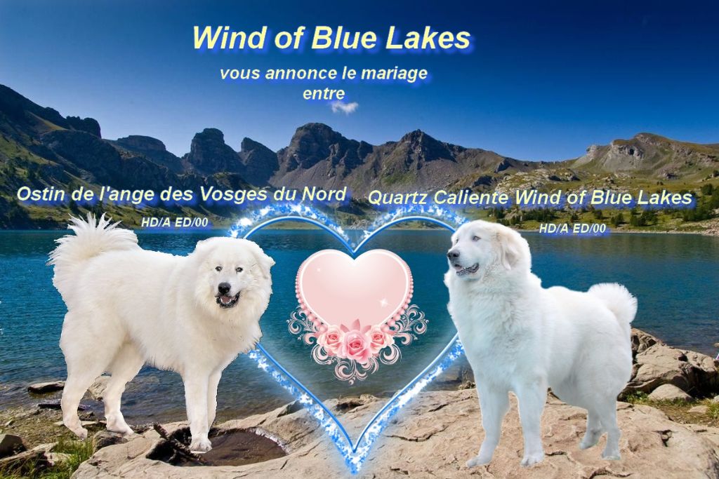 Wind of Blue Lakes - Mariage