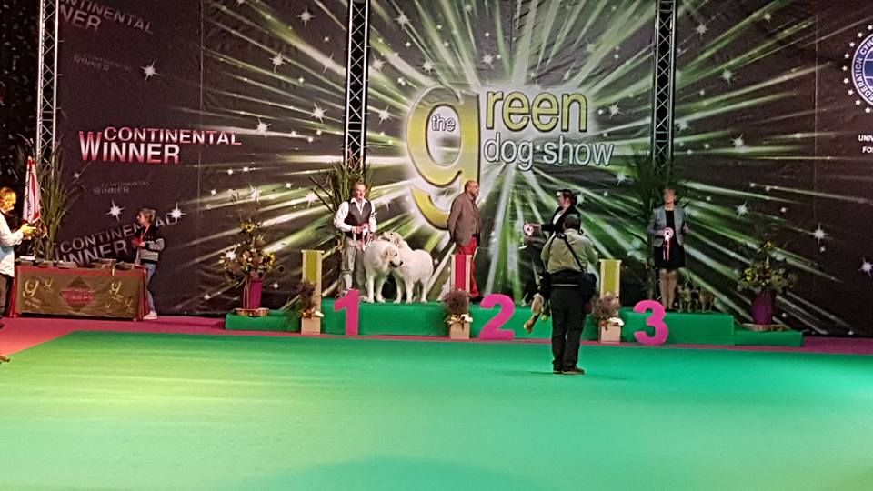 Wind of Blue Lakes - Exposition International Green Dog Show